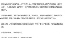 最新爆料三只羊,揭秘背后惊人真相