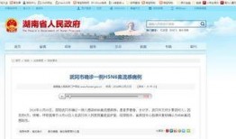 武冈新闻爆料最新消息网,最新动态速览，热点事件追踪