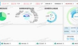 上海网约车最新爆料平台,平台动态与行业变革